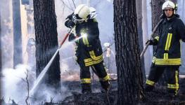 ألمانيا-إجلاء-700-شخص-إثر-حريق-غابات-قرب-العاصمة-برلين-1280x720.jpg