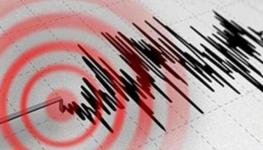 135-112845-magnitude-earthquake-shakes-newzealand_700x400.jpg