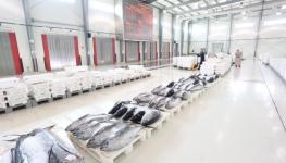 أكثر من 395.8 ألف طن إجمالي الأسماك المنزلة بالصيد الحرفي في سلطنة عُمان.jpg