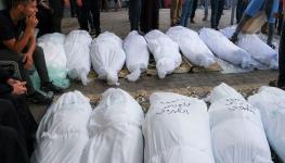 جثث غزة.jpg