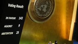 الأمم المتحدة.png