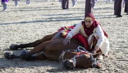 استعراض تنويم الخيل.jpg