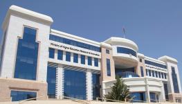 Picture1.jpg