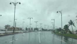 IMG_1925.jpeg