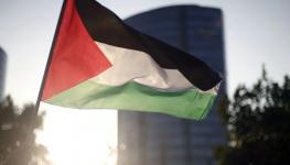 فلسطين.jpg