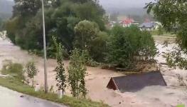 moi492853261.jpg