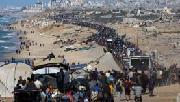 عودة النازحين من غزة (9).jpeg