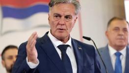 سينيسا كاران.jpg