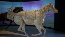 2. Zayed National Museum – متحف زايد الوطني.jpg