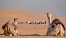 أرشيفية لماراثون عمان الصحراوي (1).jpeg