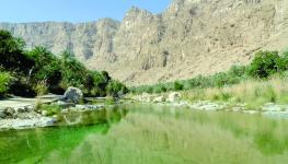 1 الرئيسية.jpg