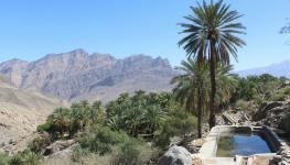 ووادي بني حراص (5).jpg