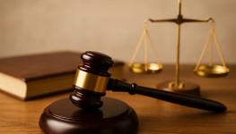 المحاماة القضاء.jpg