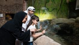 Dubai Safari Park.jpg
