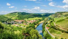 istockphoto-1343879636-612x612.jpg