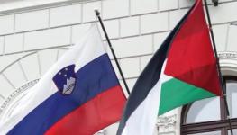 علم فلسطين وسلوفينيا .jpg