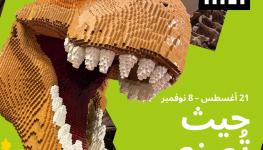 NHMAD-Lego Campaign-Adaptations-V2_Social - Teaser 4x5_-AR.jpg