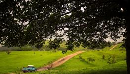 IMG_7386.jpeg