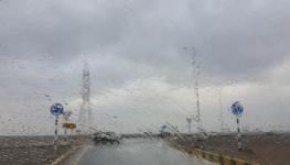 IMG_2534.jpeg