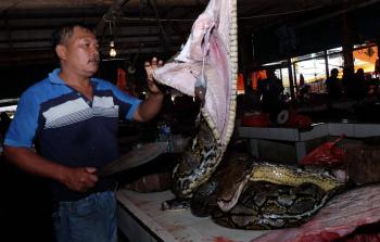 البرلمان الصيني يتبنى قراراً بوقف تجارة واستهلاك الحيوانات البرية.jpg