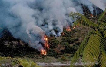 حرائق الأمازون.jpeg