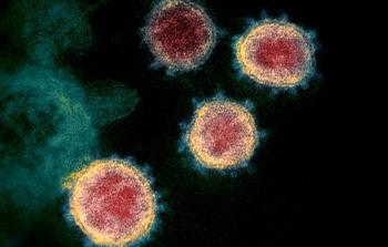 كورونا أجسام مضادة.jpg