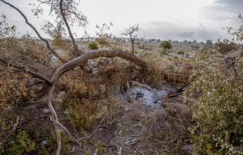 الجبل الأخضر البيئة  (11).jpg