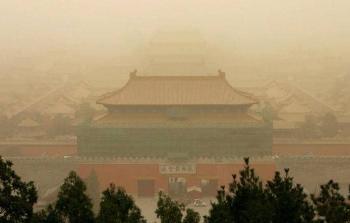 الغبار الأصفر الموسمي.jpg