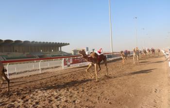 مهرجان البشائر.jpg