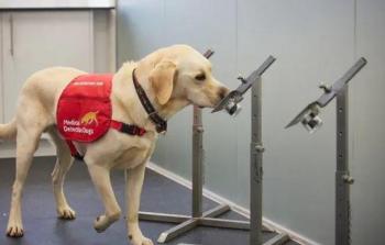 كلاب بوليسية.jpg