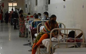 الفطر الأسود.jpg