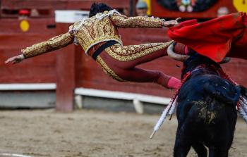 1021169335_0 0 3077 1731_1400x0_80_0_0_89d7b4a236ea1c179b6e6890d50e9794.jpg