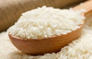 قمح أوكرانيا روسيا.jpg