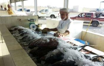 استعدادت مبكرة لتنفيذ خطة التسويق السمكي خلال شهر رمضان القادم.jpg
