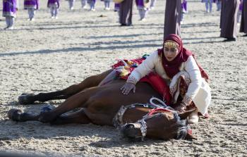 استعراض تنويم الخيل.jpg