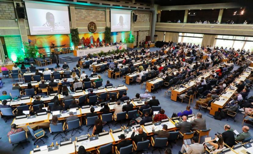 برئاسة سلطنة عُمان.. "الأمم المتحدة للبيئة" تعتمد إعلان "الحلول المستدامة لكوكب قادر على الصمود" 