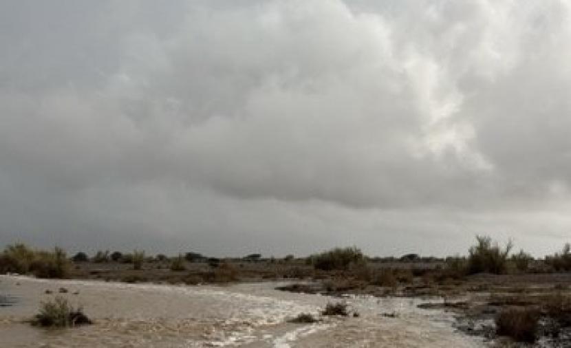 أمطار غزيرة على الظاهرة والداخلية..  آخر مستجدات 
