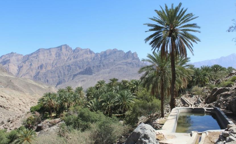 وادي بني حراص في نخل.. وجهة سياحية تجمع بين الطبيعة والتاريخ 