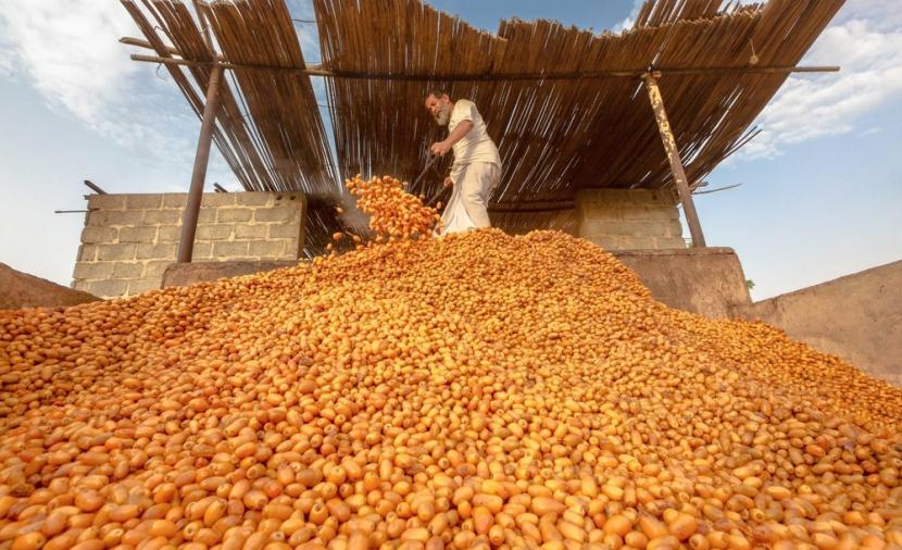 حراك تنموي واسع في القطاعات الزراعية والحيوانية والمائية في شمال الشرقية 