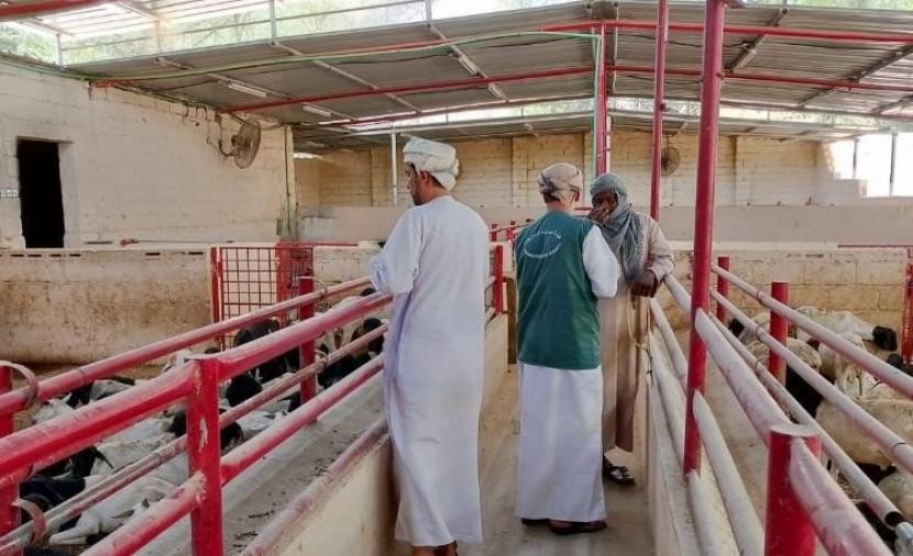 حملات تفتيشية مكثفة على الأسواق في جنوب الباطنة لضمان حقوق المستهلكين
