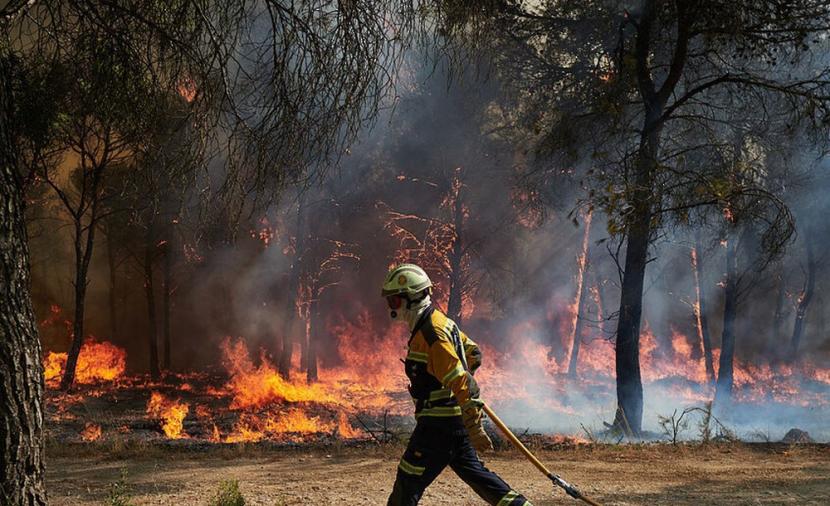 Europe initiates largest wildfire campaign