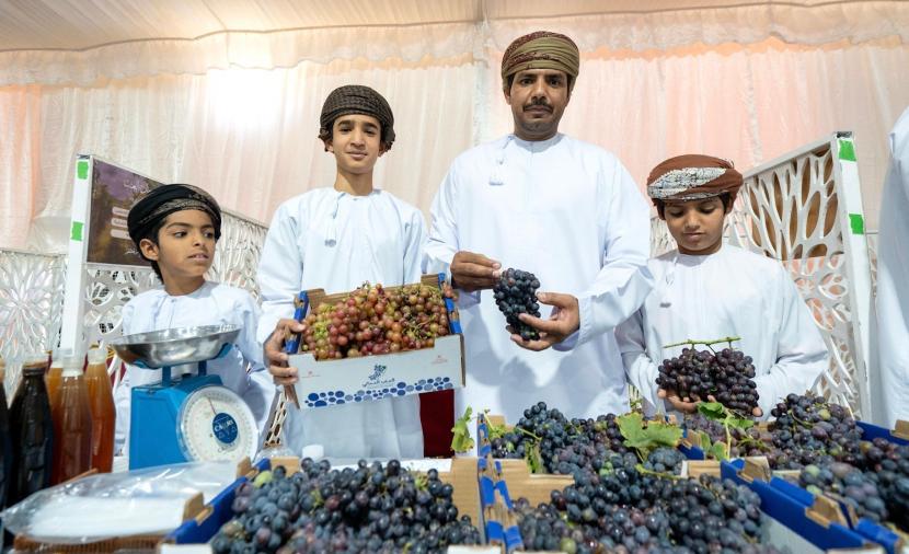 الطائي والأبيض العُماني ضمن الأصناف المميزة.. "عاصمة العنب" تشهد افتتاح المهرجان السنوي 
