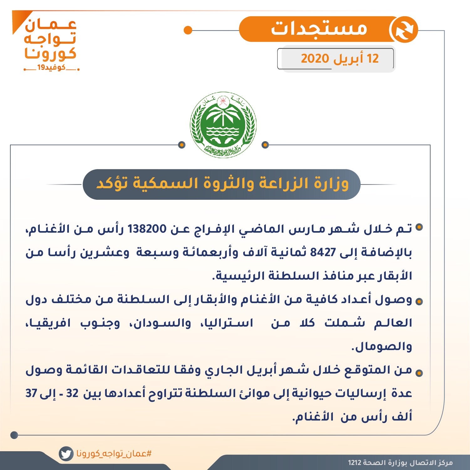 استيراد ماشية.jpg