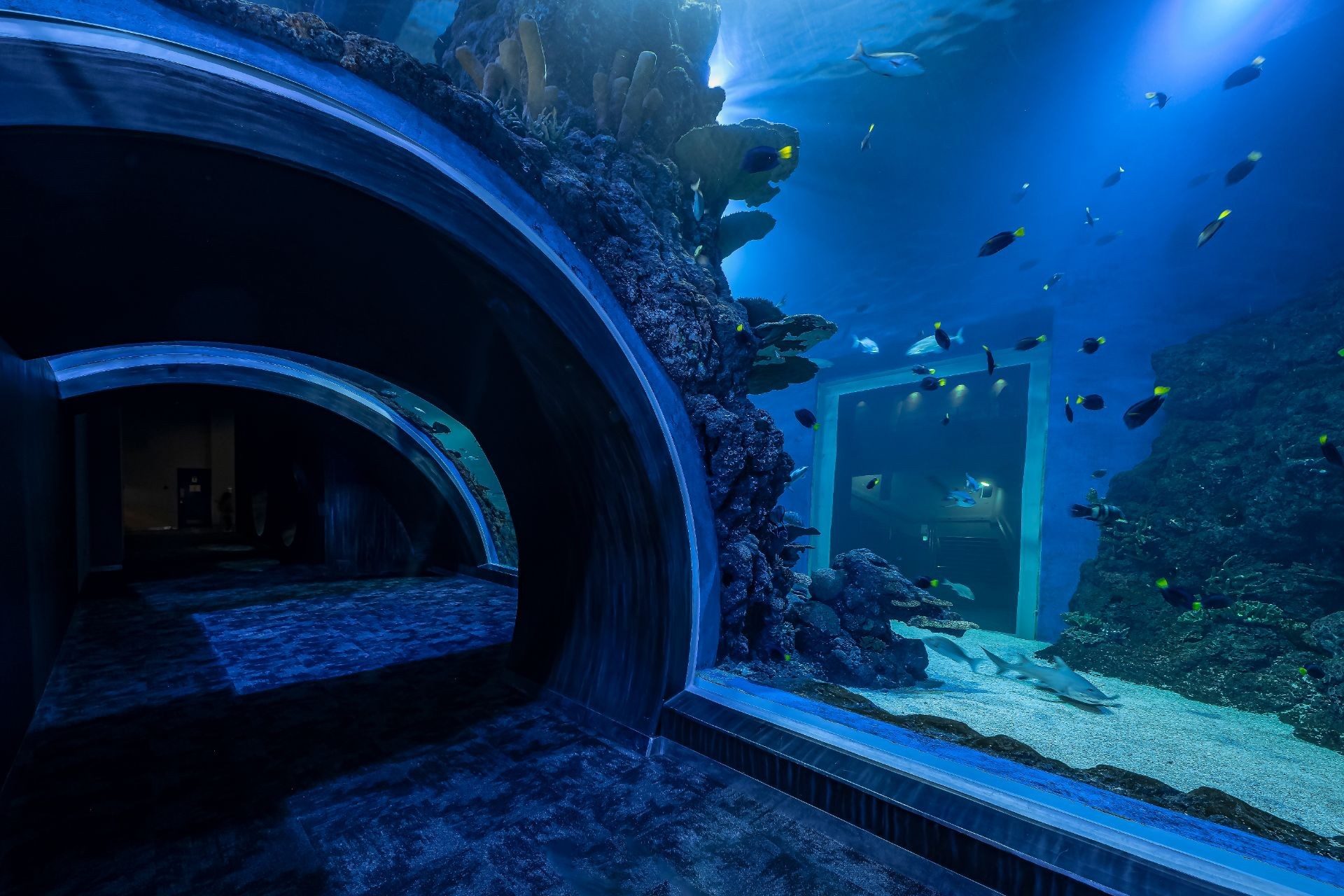 Oman Aquarium.jpg