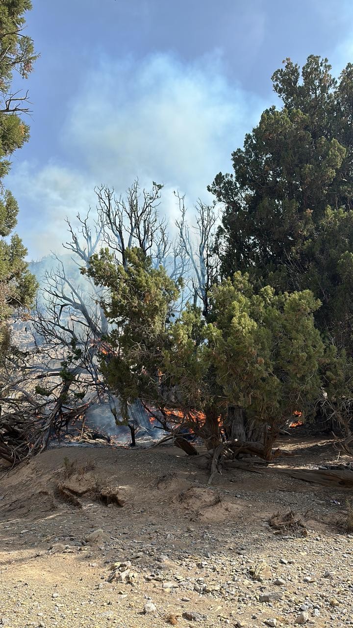 حريق العلعلان (2).JPG