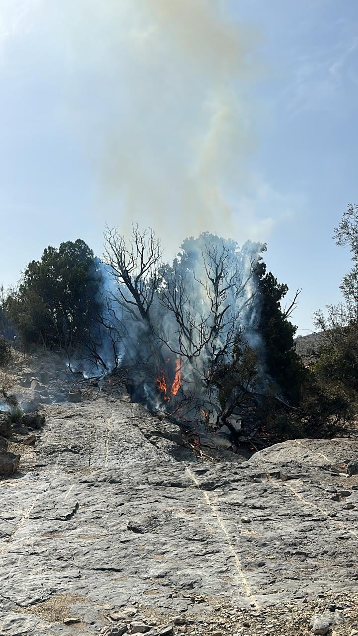 حريق العلعلان (3).JPG