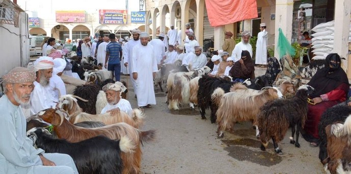 هبطات الباطنة (2).jpg