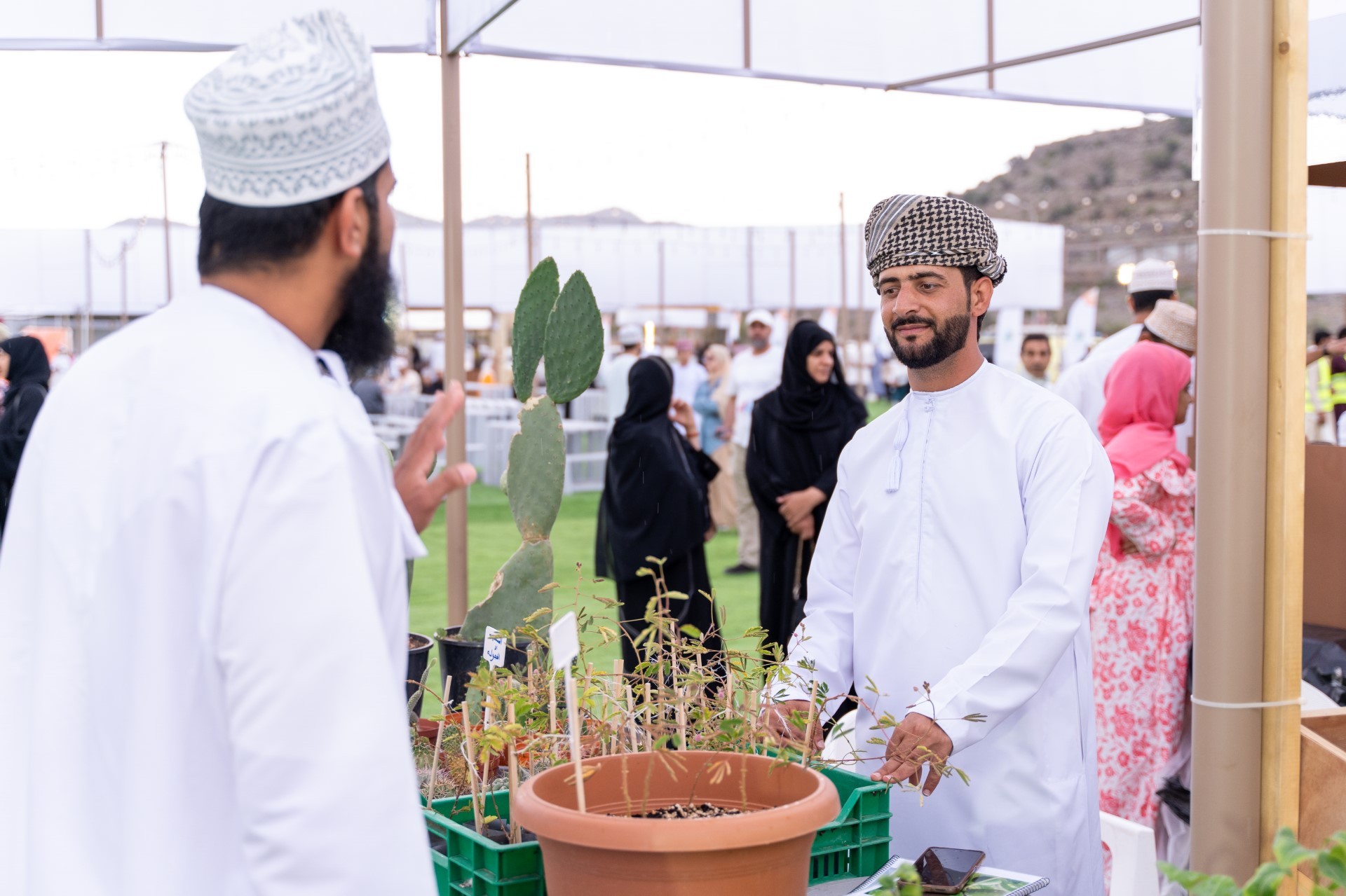 مهرجان الجبل الأخضر (1).jpeg