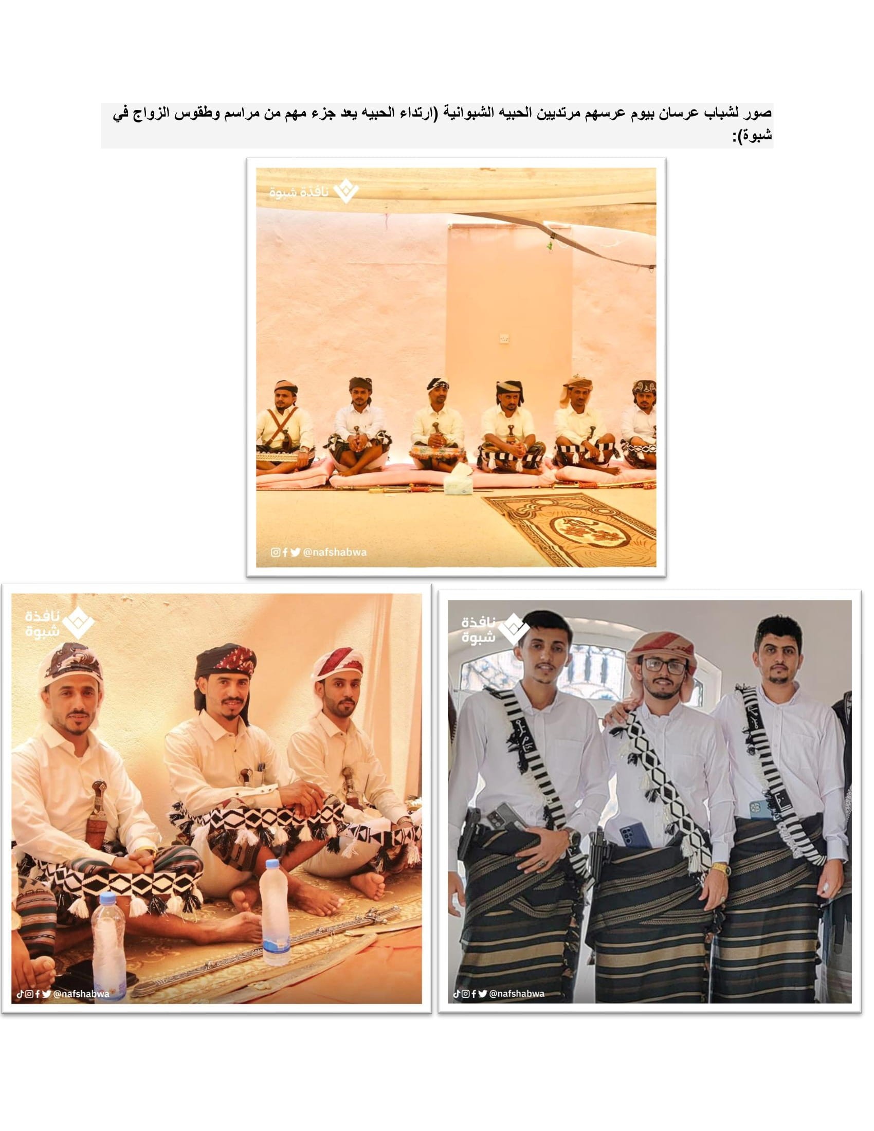 الحبية الشبوانية -مقال جاهز مع المرفقات-06.jpg