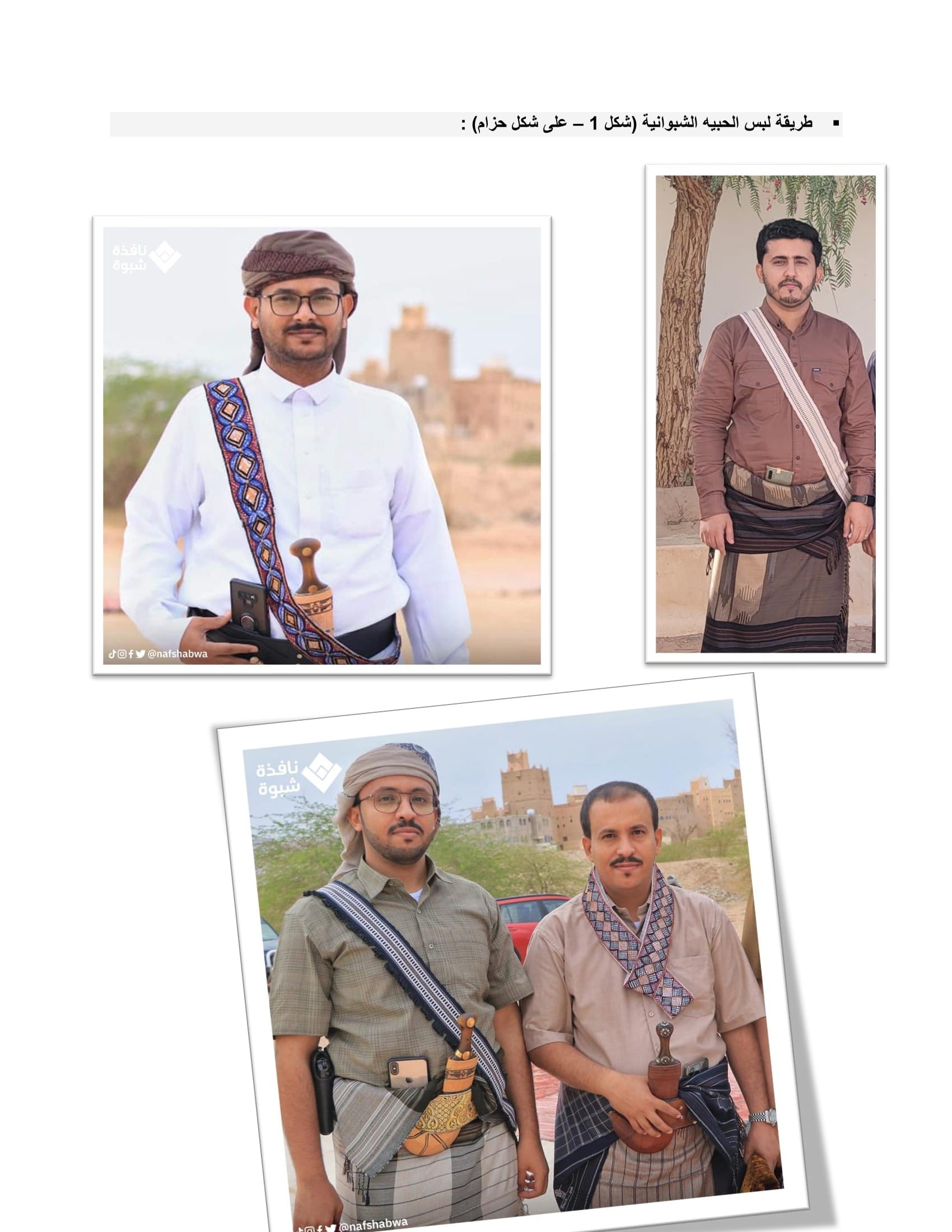 الحبية الشبوانية -مقال جاهز مع المرفقات-03.jpg